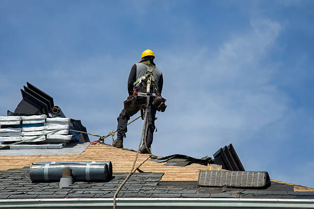 Professional Roofing technician working in Newport, WA